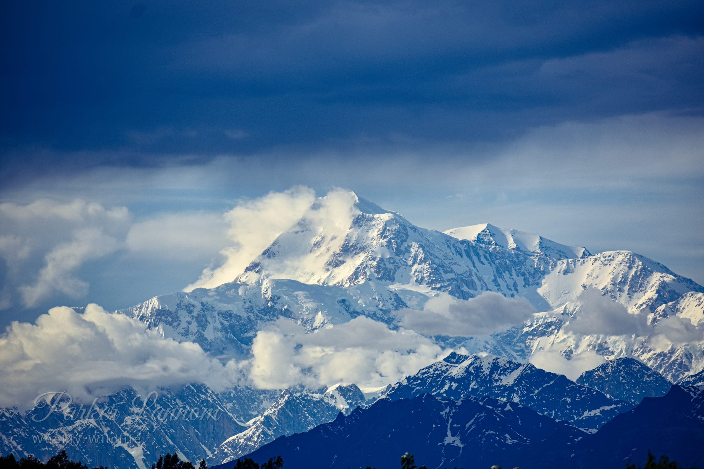 Snow-covered Denali rising above the clouds and the Alaska Range